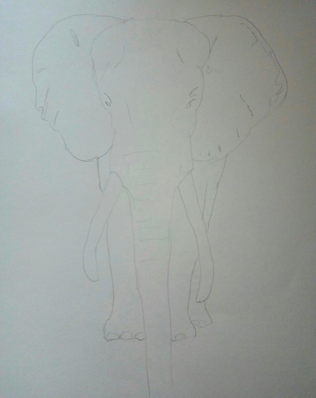 Elefante K0.jpg
