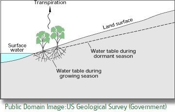 transpiration2 groundwater-diagram publicus geological.jpg