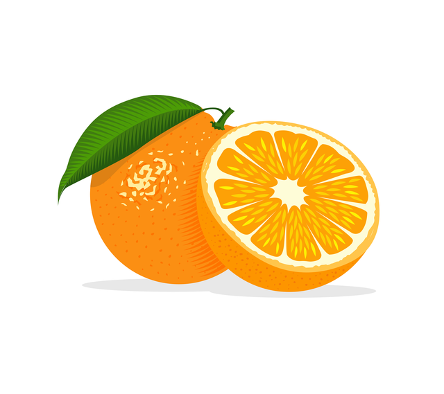 orange-4547207_1920.png