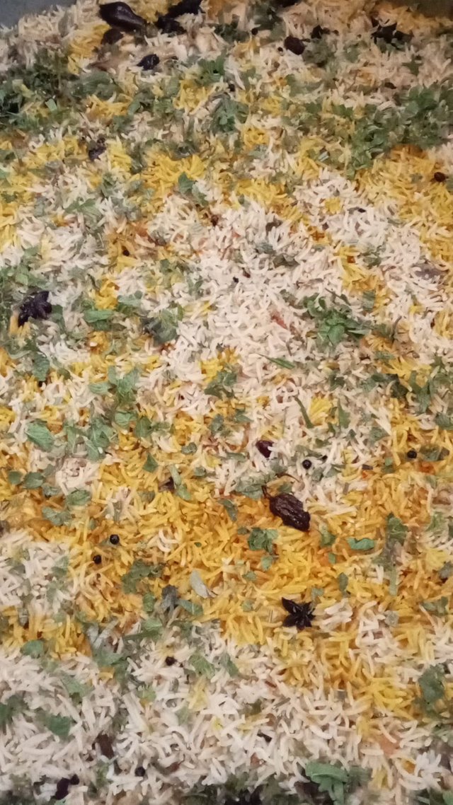 1000074812.jpg