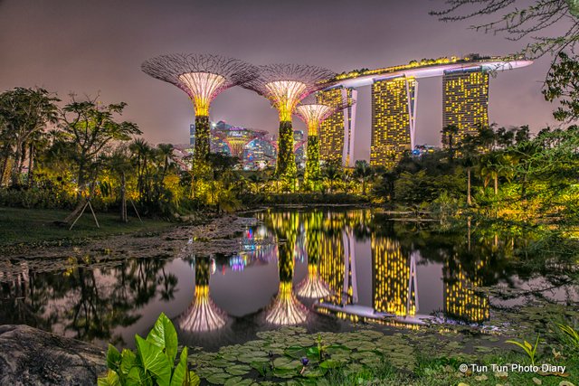 stock-photo-garden-by-the-bay-singapore-62608431.jpg