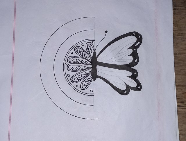 20250718_130649.jpg