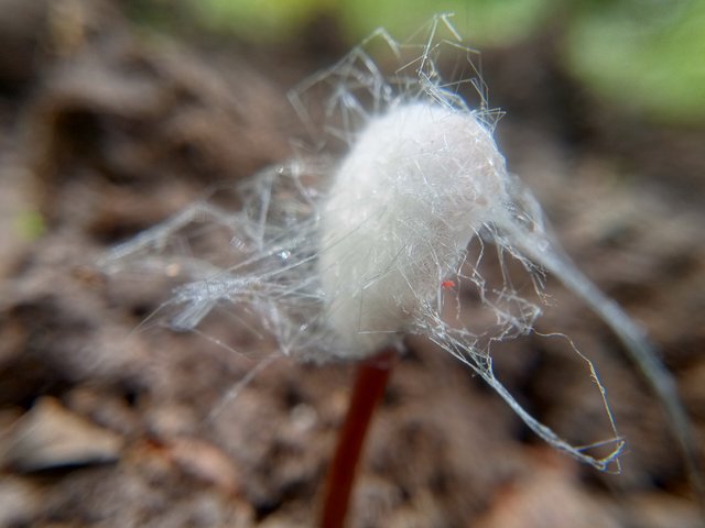 IMG20220306142840.jpg