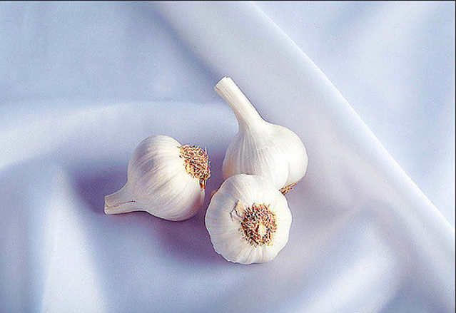 garlic.png