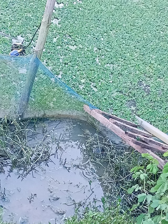 IMG20250817174941.jpg