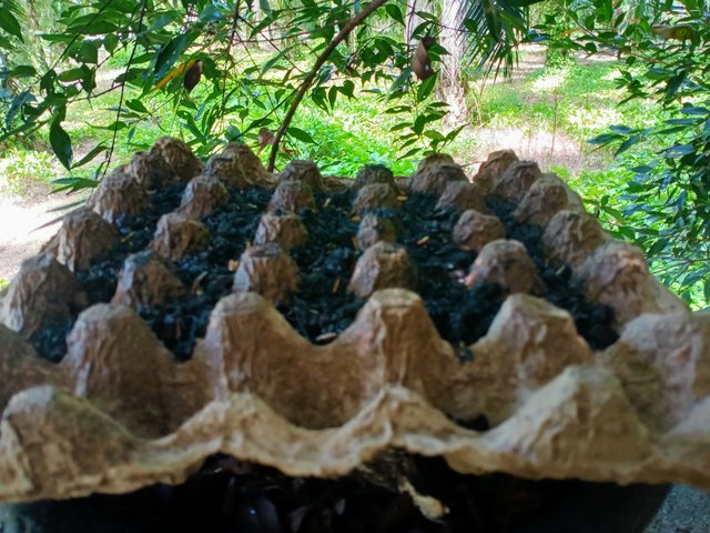 IMG20250906103752.jpg