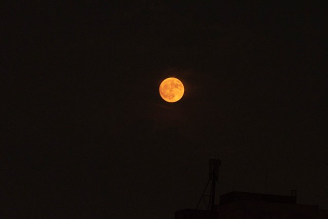 DSC_6386.jpg
