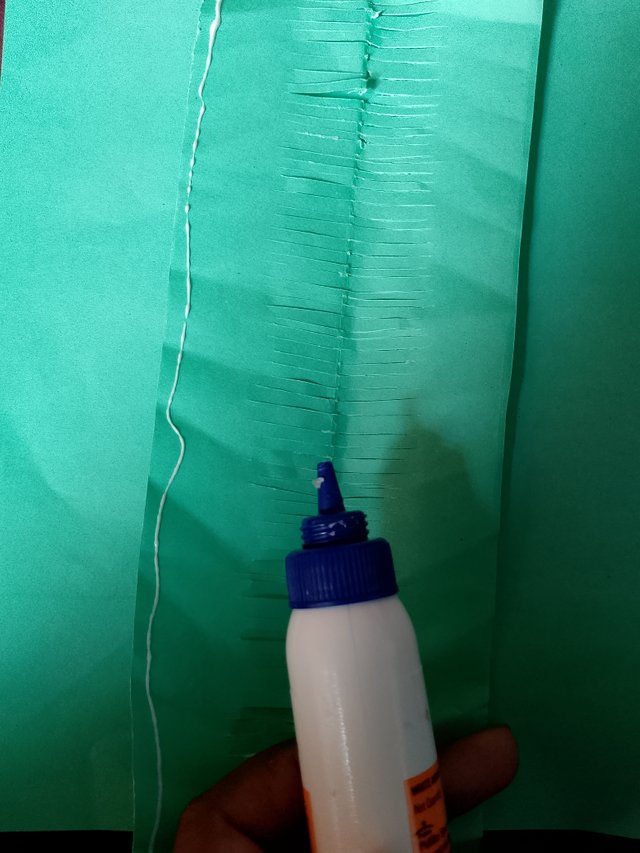 1000057606.jpg