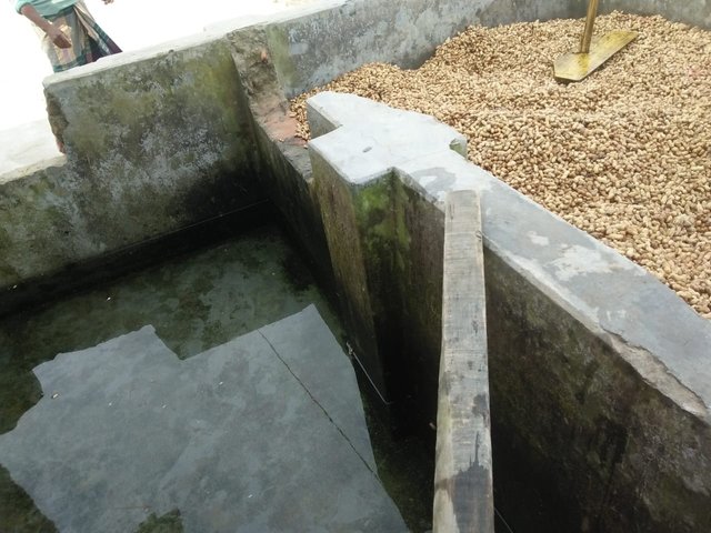 1000044055.jpg