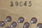 489681722_1316506412763719_2176822334516633403_n.jpg