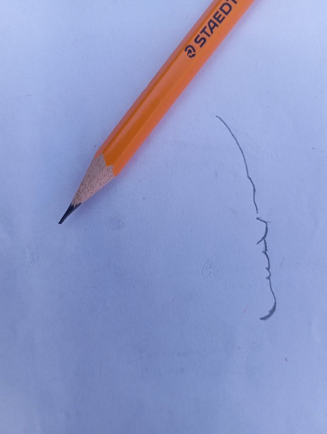 1000054047.jpg