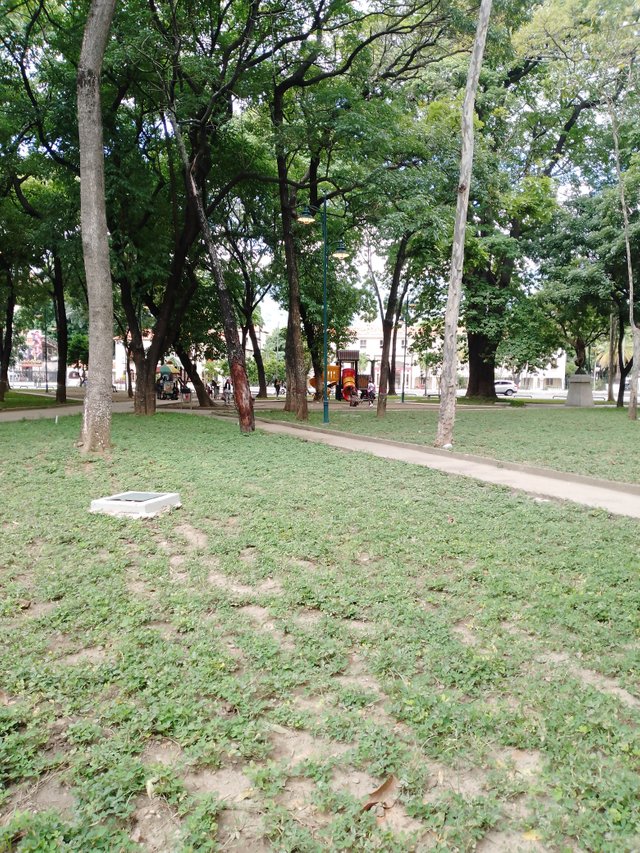 IMG_20250802_154642_057.jpg