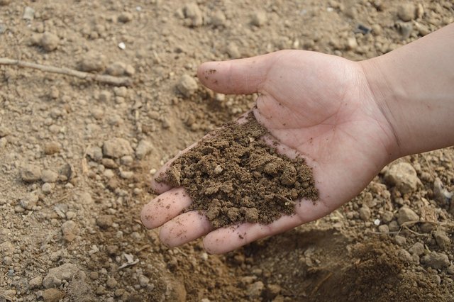 soil-766281_1280.jpg