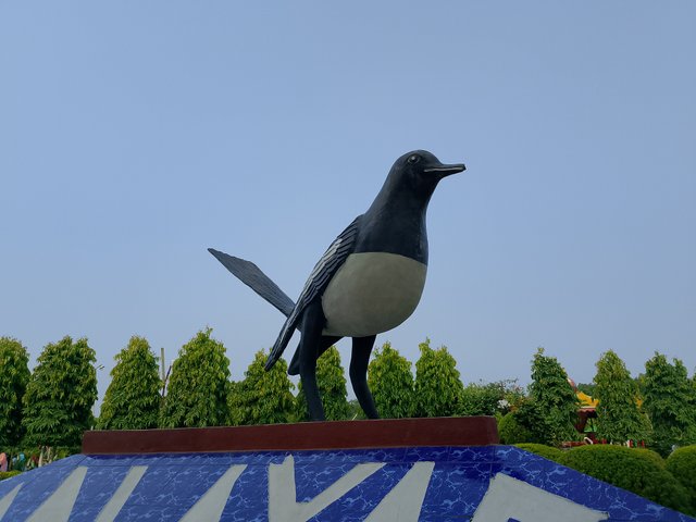 1000041024.jpg