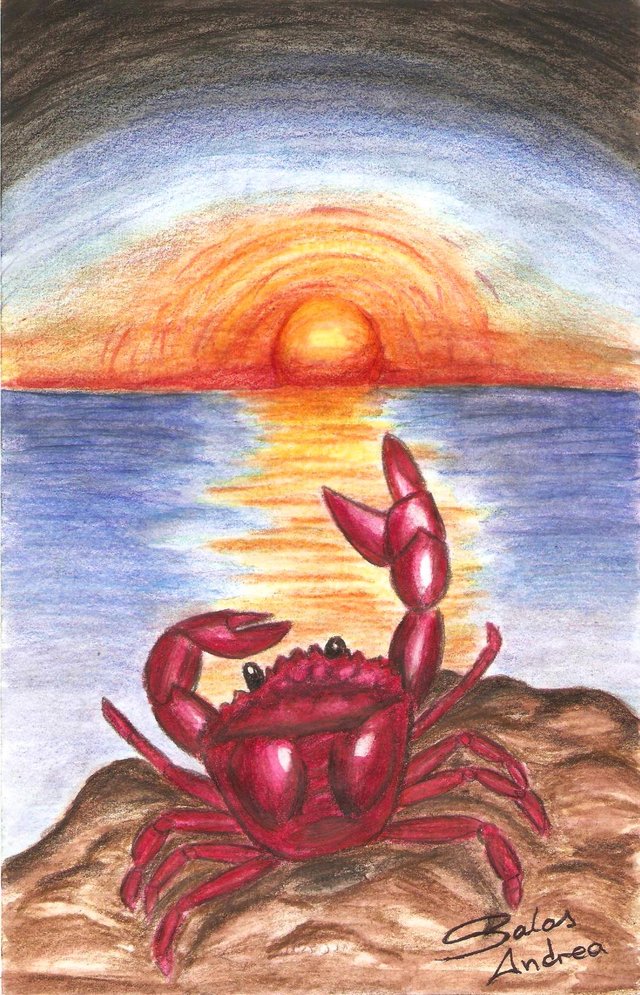 CrabSun.jpg