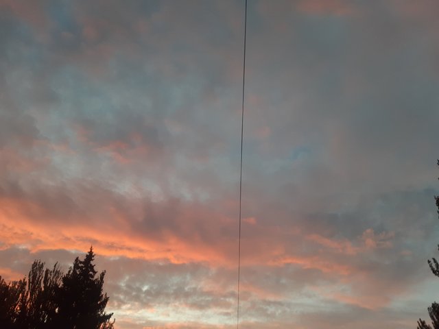 20250818_195811.jpg