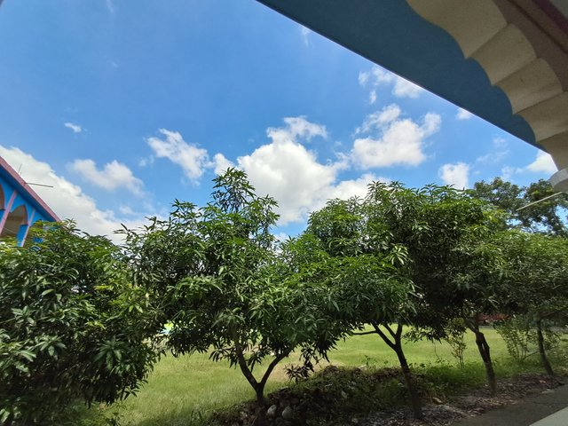 20240830_133242.jpg