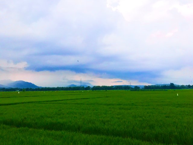 0FAEA482-3037-42D6-8BCC-C94E246549A6.jpeg