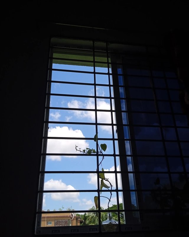 1000039171.jpg