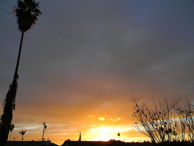 DSCN0347.JPG
