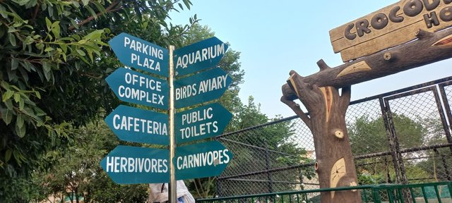 Instruction Poles.jpeg