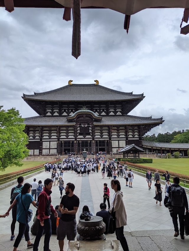 MVIMG_20190518_115605.jpg