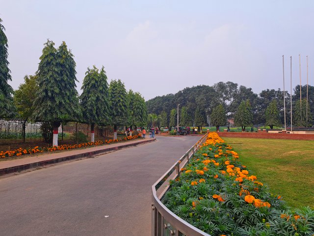 1000015353.jpg