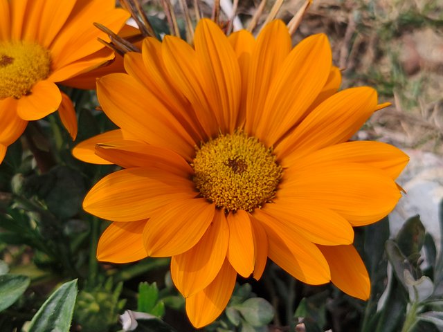 IMG20250122133029.jpg