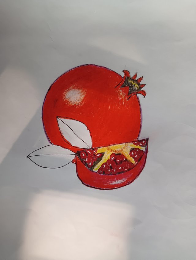 IMG20241124122957.jpg