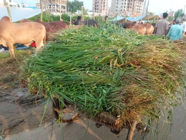 বাহন (2).jpg