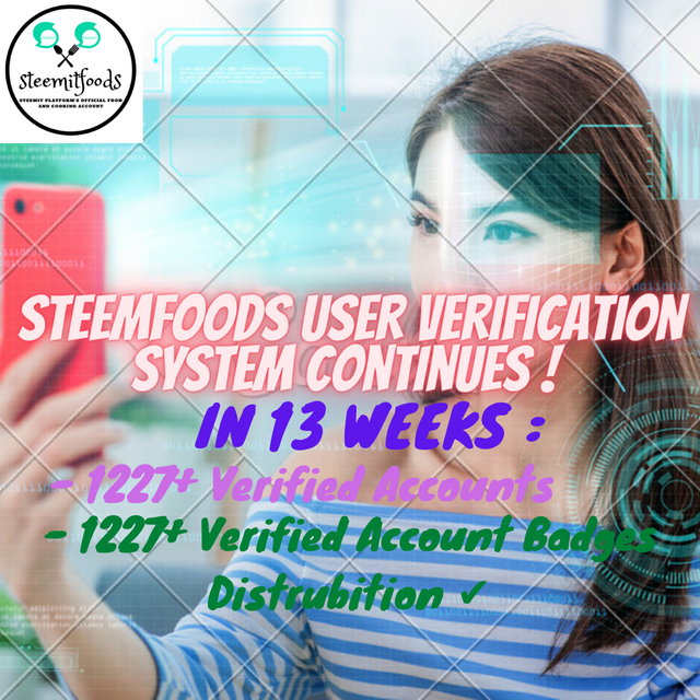 Verification System 13th Week.png