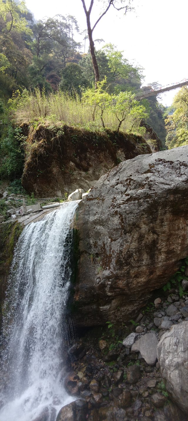 20250503_100139.jpg