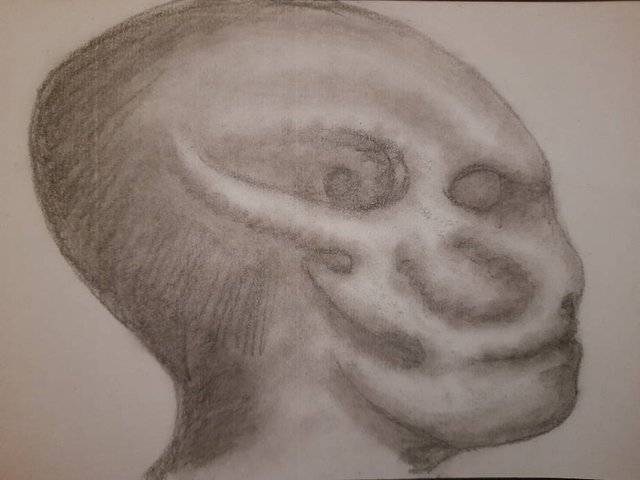 20250621_105019.jpg
