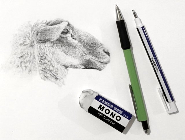 sheep-mechanical-pencil-sketch.jpg