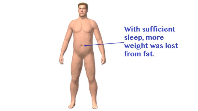 Sufficient sleep more weight lost from fat.jpg