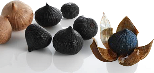 What-is-black-garlic-black-garlic-produced.png