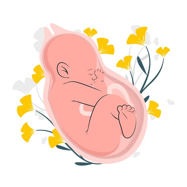 baby-birth-concept-illustration_114360-8159.jpg