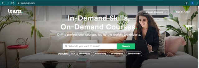 Fiverr Free Course.jpg