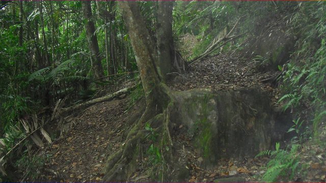 CIMG0049.JPG