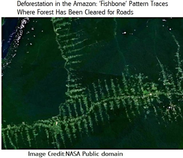 Amazonie deforestation3 NASA public.jpg