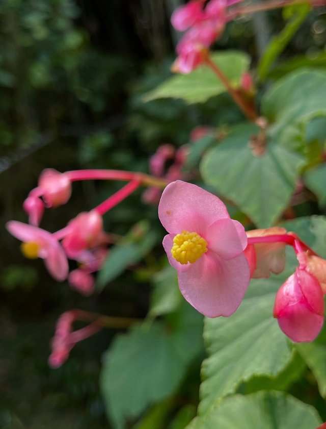 IMG_20250823_190845.jpg