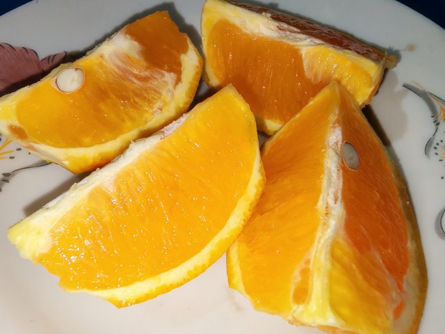 4162.jpg