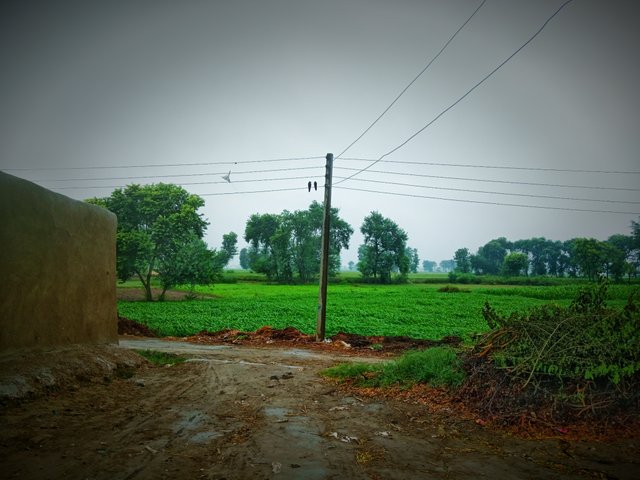 1000051907.jpg