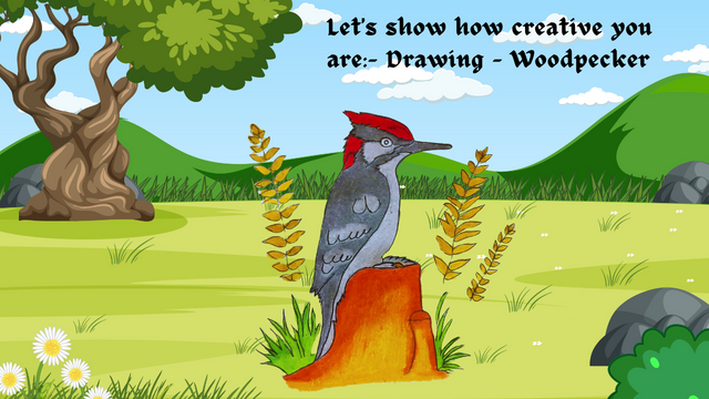 Let's show how creative you are- Drawing - Woodpecker.png