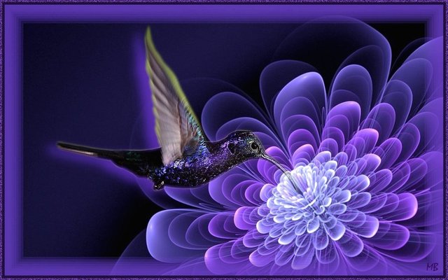 hummingbird_visit_a_fractal_flower_by_marijeberting-d8wdjqv.jpg