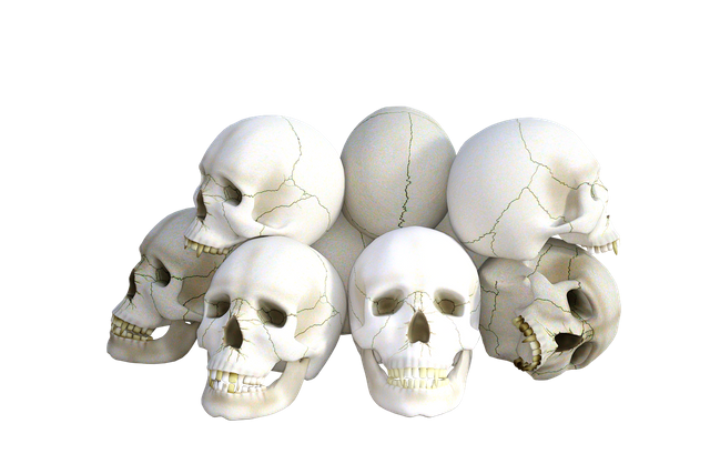 skulls-1665338_1280.png