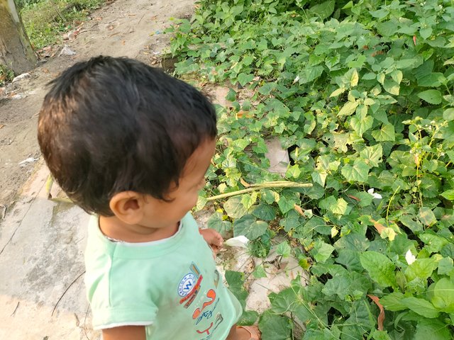 IMG20250713175143.jpg