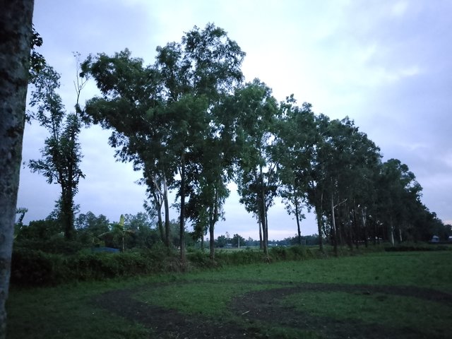 1000043784.jpg