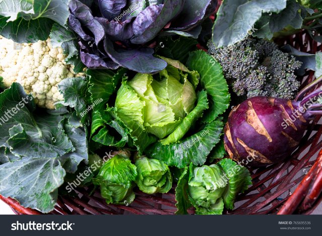 stock-photo-various-of-cabbage-broccoli-cauliflower-assorted-of-cabbages-in-basket-765695536.jpg