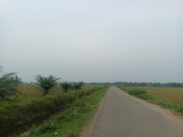 IMG_20250322_094451.jpg